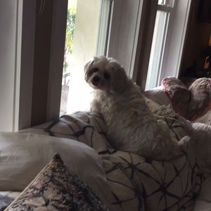 Meet your Posher, Betty